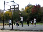 B-ball in the park
