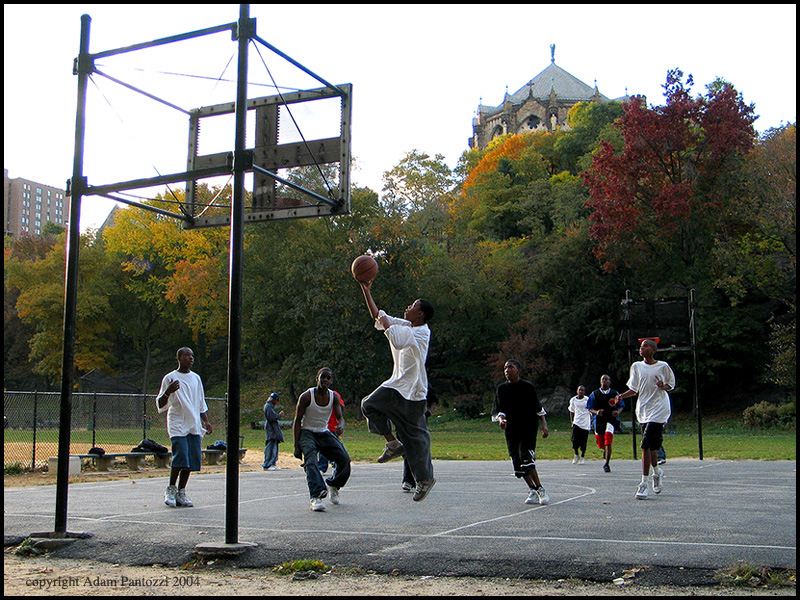 B-ball in the park