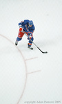 hockey action figure